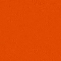 107-6019 ORANGE